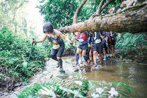 BIB: 
                            <button type="button" onclick="openModal(25468122)" class="btn btn-primary btn-sm float-right btn-popup" data-toggle="modal" data-target=".modal-high-quality">
                        <i class="fas fa-shopping-cart"></i> Add to Cart
                    </button>
                                            <button type="button" onclick="isThisMe(25468122, true)" class="btn btn-success btn-sm float-right btn-popup btn-isme hidden" data-toggle="tooltip" data-placement="bottom" title="นี่คือรูปของคุณใช่ไหม คลิกที่นี่เพื่อเอาเข้าอัลบั้ม">
                        <i class="fas fa-plus"></i> Add to album
                    </button>
                    <button type="button" onclick="isThisMe(25468122, false)" class="btn btn-warning btn-sm float-right btn-popup btn-isnotme hidden">
                        <i class="fas fa-ban"></i> Remove from album
                    </button>